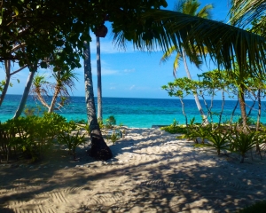 View-from-Restaurant-_2_