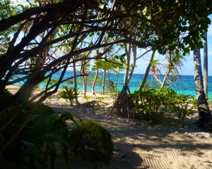 View-from-Restaurant-_3_