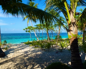 View-from-Restaurant-_4_