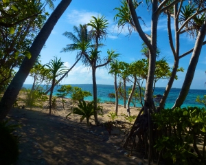 View-from-Restaurant-_5_