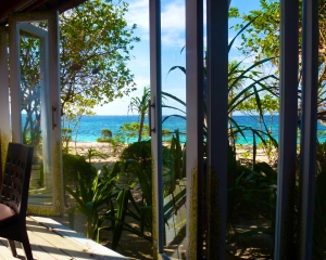 View-from-Restaurant