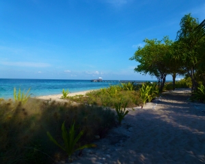 View-from-the-Southwest-Corner