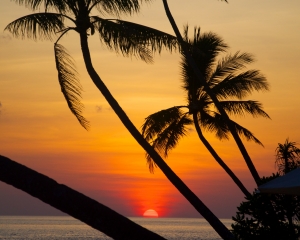 Wakatobi-Sunset-_10_