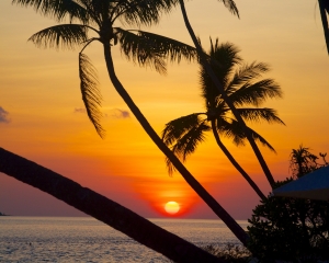 Wakatobi-Sunset-_8_