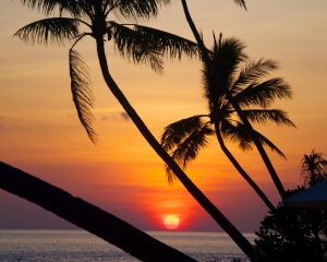 Wakatobi-Sunset-_9_