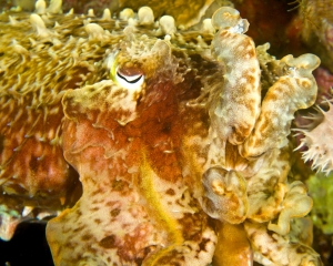 DSC06841