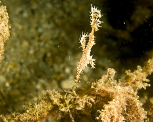 DSC08001